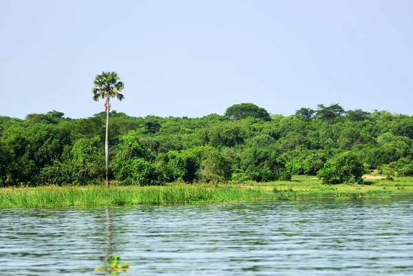 Victoria Nile river, Uganda, Africa — Stock Photo, Image