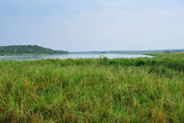 Victoria Nile river, Uganda, África — Fotografia de Stock