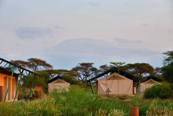 African travel, Sentrim Amboseli Tented Camp Luxury Lodge, Kenya — Stock Photo, Image