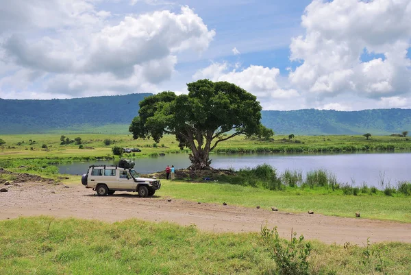 Safari em Tanzânia, África — Fotografia de Stock