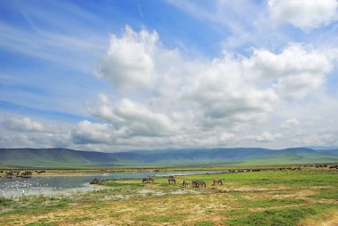 Ngorongoro krateri sahne. Tanzanya, Afrika