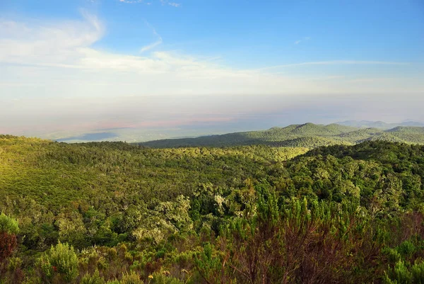 Mt Kilimanjaro, Tanzania — Stock Photo, Image