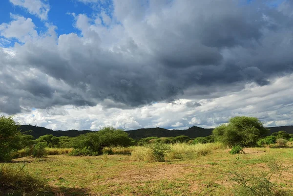 Parque nacional do lago Manyara, Tanzânia, África — Fotografia de Stock