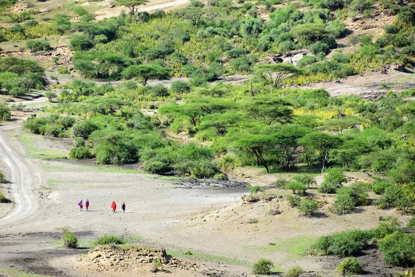 Tanzania, Afryka Wschodnia — Zdjęcie stockowe