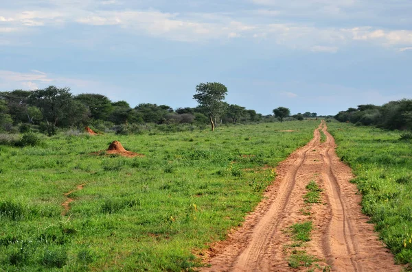 Estrada africana, Namíbia — Fotografia de Stock