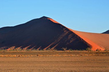 Sossusvlei, Namib Naukluft Milli Parkı, Namibya