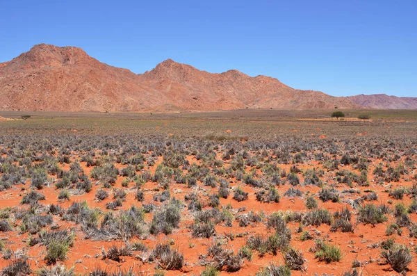 Deserto do Namib paisagem, Namíbia — Fotografia de Stock