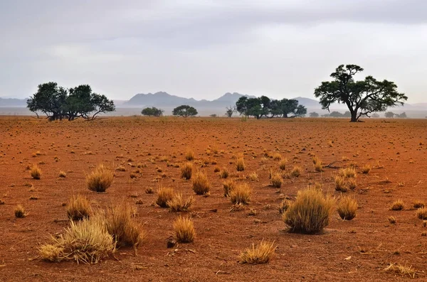 Sossusvlei, Namib Naukluft National Park, Namibia — Stockfoto