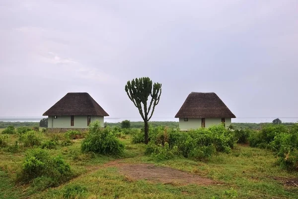 Uganda, Costa del lago George, Africa — Foto Stock