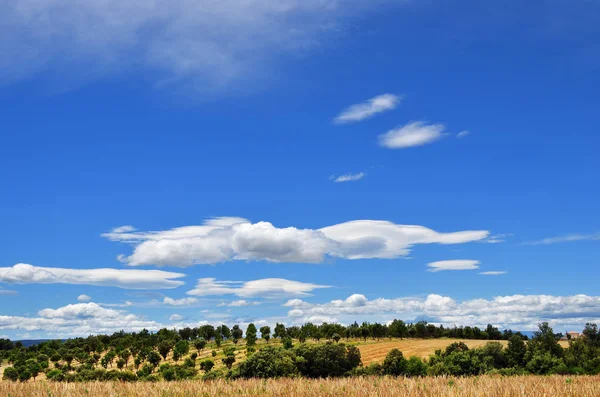 Countryside, Provence, France — Stock Photo, Image