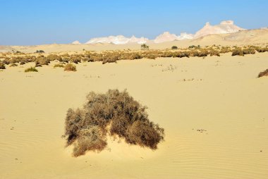 Batı Çölü, sahara, Mısır