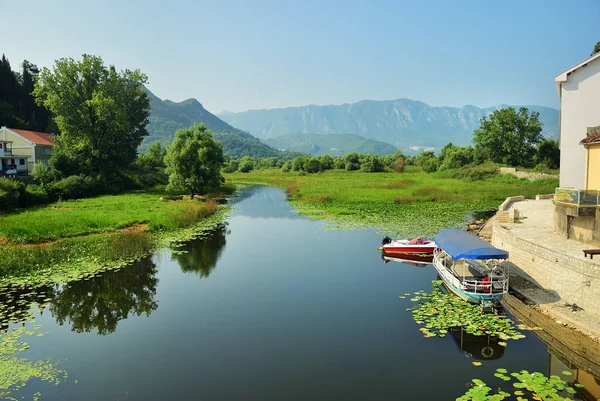 Lago di Skadar Montenegro — Foto Stock