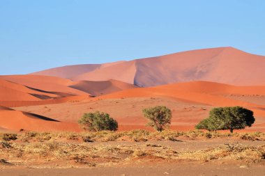 Sossusvlei, Namib Naukluft Milli Parkı, Namibya