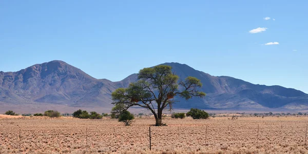 Namibia scenery, Africa — Stock Photo, Image