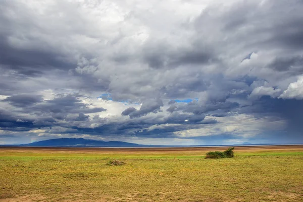 Manyara lake scenery, Tanzania, Africa — Stock Photo, Image