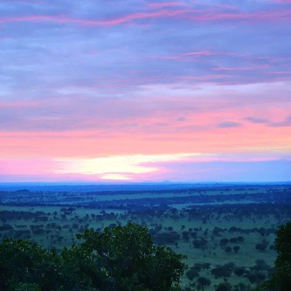 Serengeti, Tanzanya, Afrika üzerinden gündoğumu — Stok fotoğraf