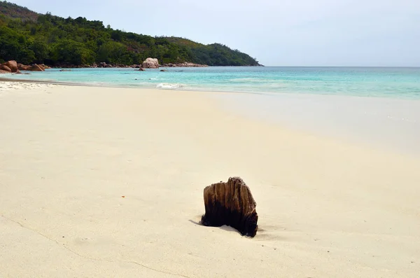 Seychellen, Praslin, strand van Anse Lazio — Stockfoto