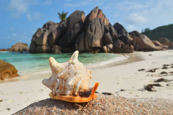 Seychelles islands, La Digue,  Grand Anse beach — Stok fotoğraf