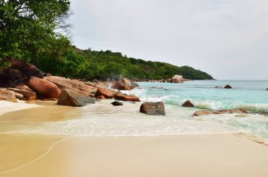 Seyşel Adaları tropikal plaj 