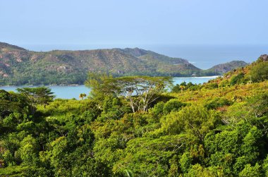 Seychelles adaları sahne