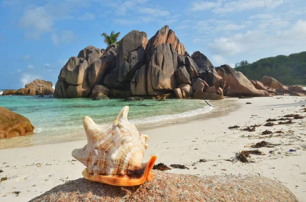 Seychelles islands, La Digue,  Grand Anse beach — Stockfoto
