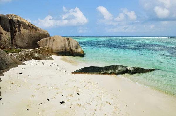 Tropischer Strand auf den Seychellen — Stockfoto