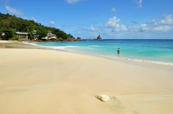 热带海滩, 塞舌尔群岛 — 图库照片