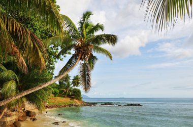 Seychelles adaları sahne