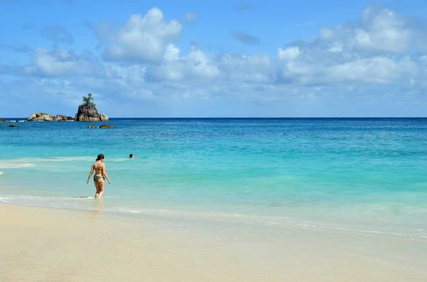 热带海滩, 塞舌尔群岛 — 图库照片