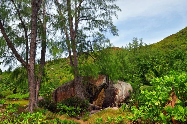 Paysage des îles Seychelles — Photo