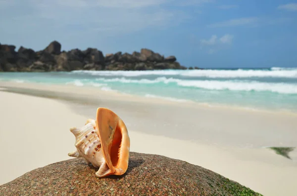 Seychelles islands, La Digue,  Grand Anse beach — Stock Photo, Image