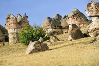 Cappadocia sahne, Türkiye