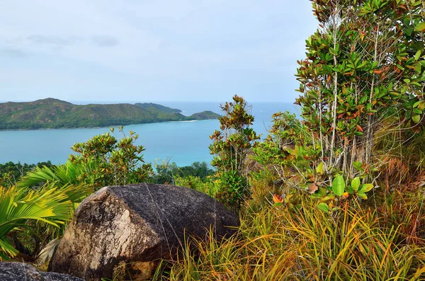 Paysage des îles Seychelles — Photo