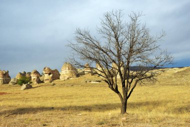Kapadokya sonbaharda