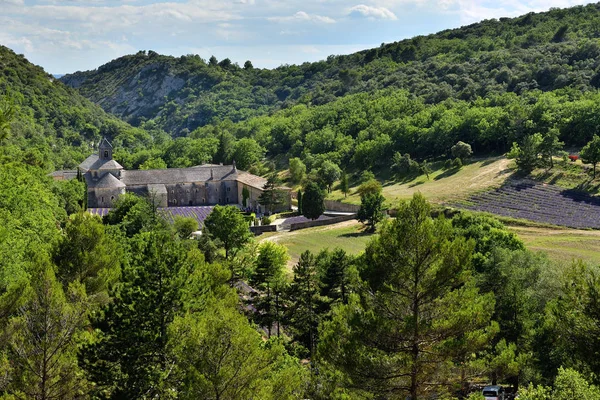 Abbaye de Senanque, France — Photo