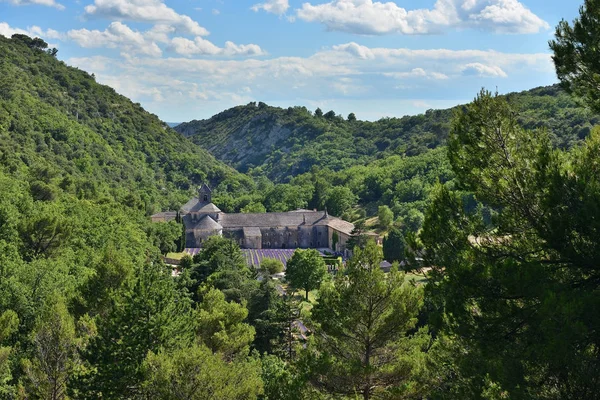 修道院的 Senanque，法国 — 图库照片