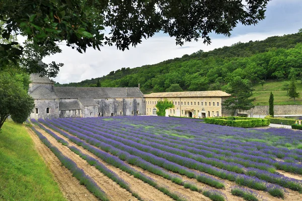 Abadía de Senanque, Francia — Foto de Stock