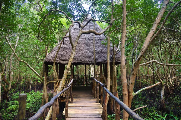 Rifugio in legno nella foresta di mangrovie Jozani, Zanzibar, Tanzania, Africa — Foto Stock