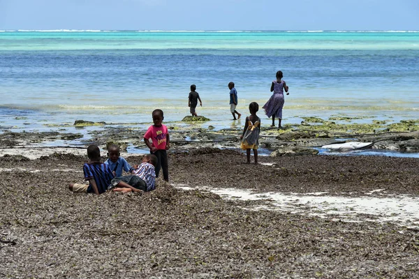 Дети на пляже Пингве, Занзибар, Танзания, Африка — стоковое фото