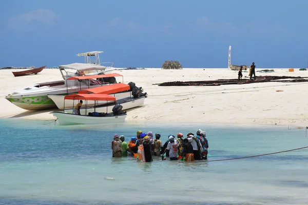 Women fishing, Kendwa, Zanzibar, Tanzania, Africa — Stock Photo, Image