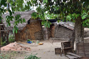 Köyün avlusunda. Zanzibar, Tanzanya, Afrika
