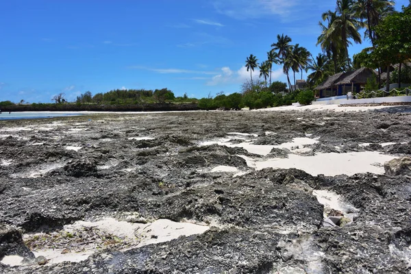 Paje, isla de Zanzíbar, Tanzania, África — Foto de Stock