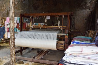 Weaver, Zanzibar, Tanzanya, Afrika