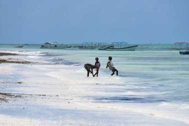 Pingwe sahilindeki çocuklar, Zanzibar, Tanzanya, Afrika