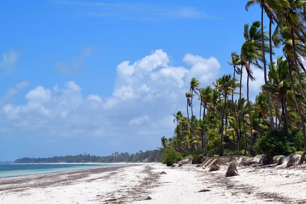 Zanzibar landskap, Tanzania, Afrika — Stockfoto