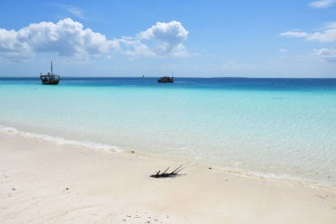 Yemek teknesi. Zanzibar, Tanzanya, Afrika