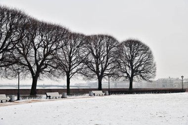 Saint Petersburg, Rusya. Vasilyevsky Adası 'nın tükürüğü
