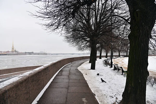 Sankt Petersburg, Ryssland. Spott av Vasiljevskij ön — Stockfoto