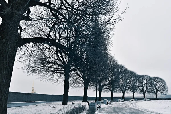 圣彼得堡 俄罗斯 彼得堡街冬季全景 降雪的时候吐出瓦西里耶夫斯基岛的口水 彼得堡的建筑被投掷的图像 — 图库照片