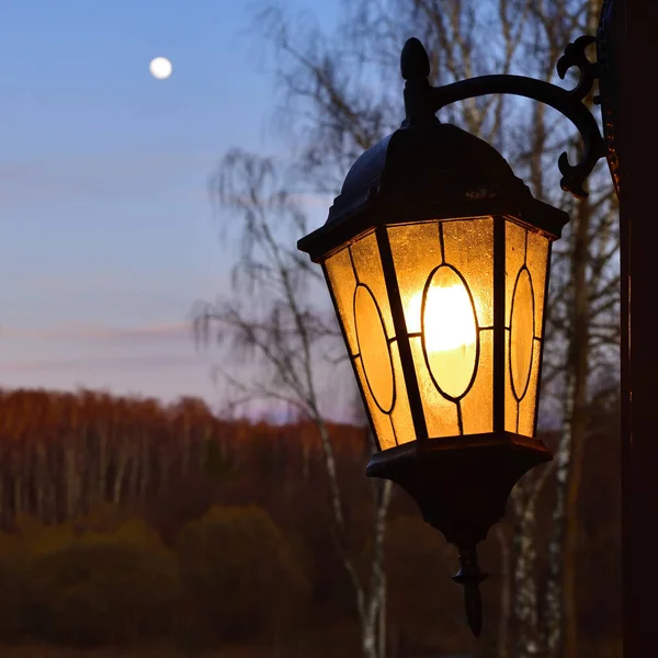 Zapalona Lampa Uliczna Przeciwko Pięknemu Wiosennemu Krajobrazowi Księżycem Niebie Brzozą — Zdjęcie stockowe